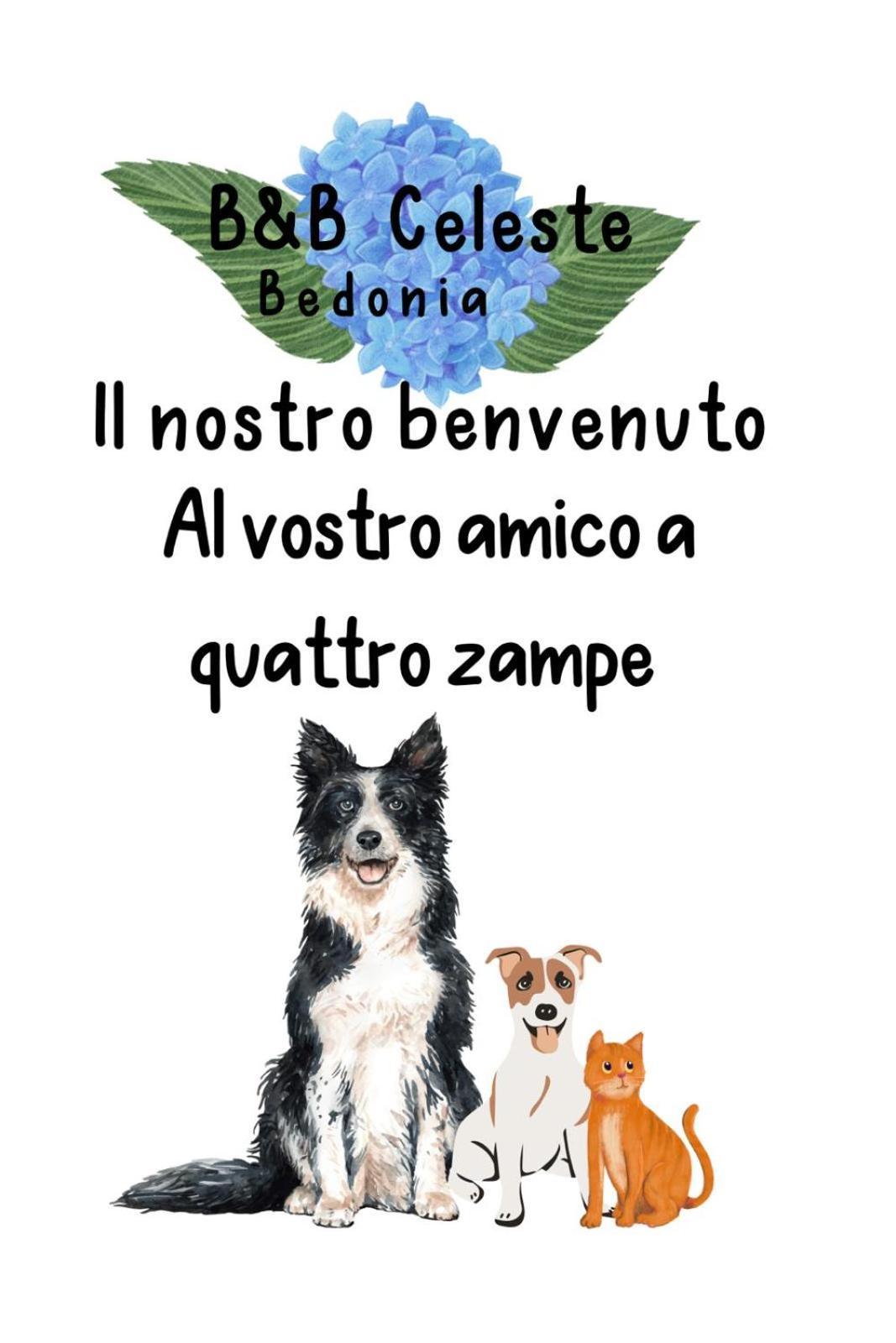 Celeste Bedonia