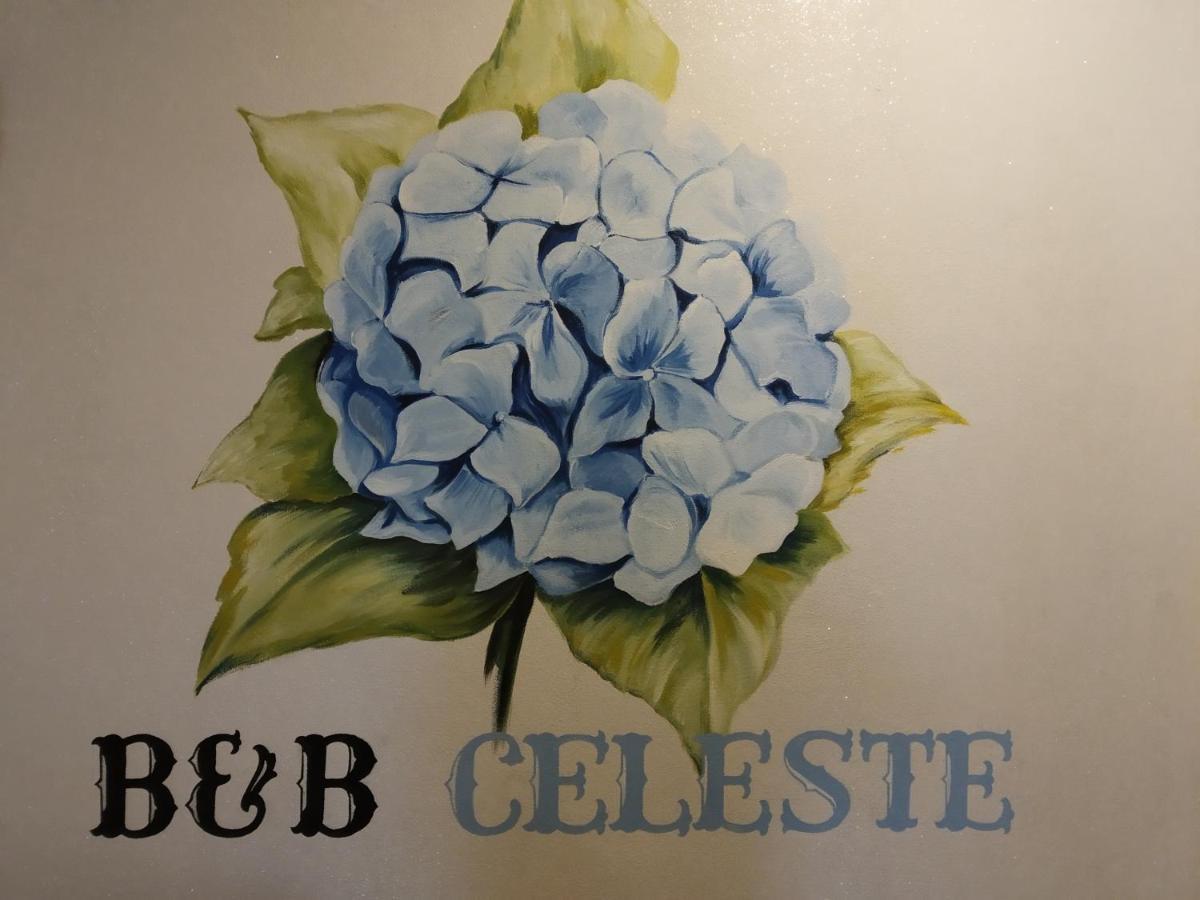 Celeste * Bedonia